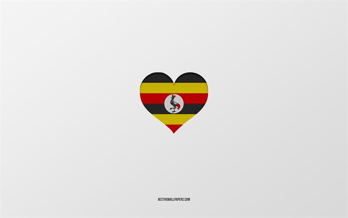 J’aime l’Ouganda, les pays d’Afrique, l’Ouganda, fond gris, coeur de drapeau de l’Ouganda, pays pr&#233;f&#233;r&#233;, l’Ouganda d’amour