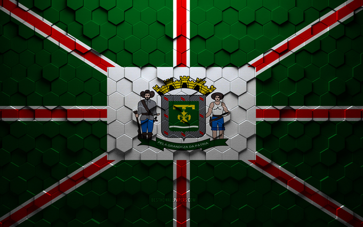 drapeau de goiania, art en nid d’abeille, drapeau des hexagones de goiania, art des hexagones de goiania 3d