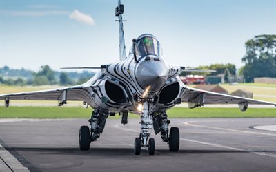 Dassault Rafale, French multipurpose fighter, zebra coloring, French Air Force, combat aviation