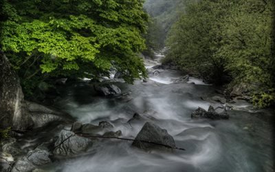 mountain river, stones, forest, mountains, cloudy weather, spring