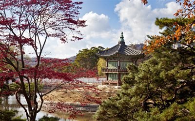 pagoda, temple, spring, sakura, trees, lake, spring flowering, Thailand