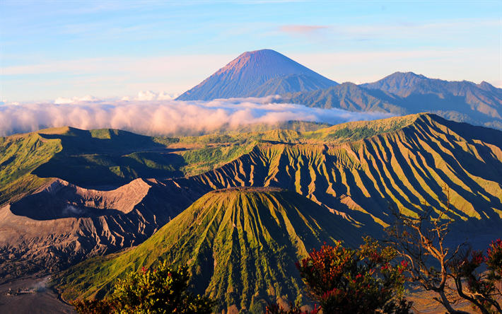 Mount Bromo, morgon, dimma, vulkanen, berg, Indonesien