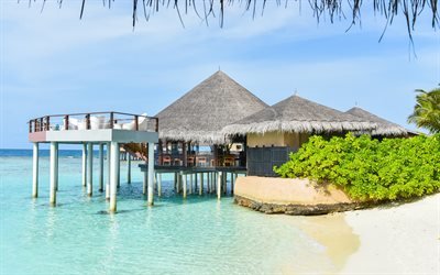 tropiska &#246;n, lyxhotell, bungalow, ocean, sommar, bl&#229; lagunen