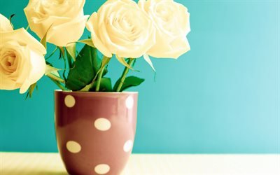 rose gialle, vaso, un bel colore giallo bouquet, sfondo verde, fiori, rose