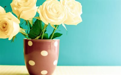 yellow roses, vase, beautiful yellow bouquet, green background, beautiful flowers, roses