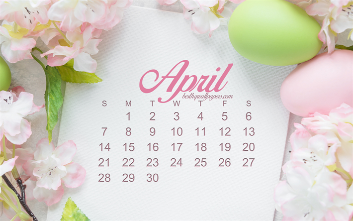 2019 April kalender, P&#229;sk bakgrund, rosa v&#229;rens blommor, kalender f&#246;r april 2019, P&#229;sk, v&#229;ren, 2019 kalendrar