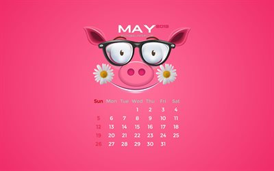 Mai 2019 Calendrier, 4k, printemps, rose cochon, 2019 calendrier, Mai 2019, cr&#233;atif, Mai 2019 calendrier de porc, Calendrier Mai 2019, 2019 calendriers