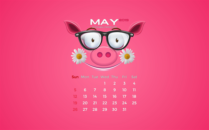 Maggio 2019 Calendario, 4k, primavera, rosa, piggy, 2019 calendario, Maggio 2019, creativo, Maggio 2019 calendario con maiale, Calendario Maggio 2019, 2019 calendari