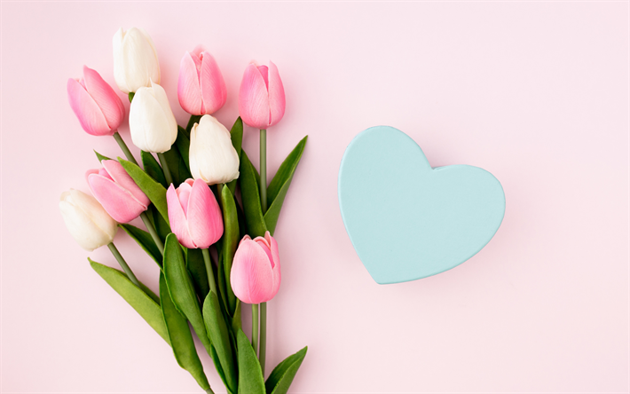 buqu&#234; de tulipas, tulipas cor-de-rosa, cart&#227;o postal, flores da primavera, tulipas em um fundo rosa, tulipas brancas