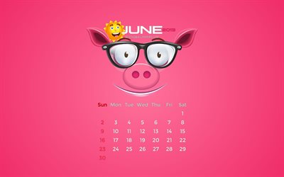 Juin 2019 Calendrier, 4k, l&#39;&#233;t&#233;, le rose cochon, 2019 calendrier, juin 2019, cr&#233;atif, juin 2019 calendrier de porc, Calendrier juin 2019, piggy avec le soleil, 2019 calendriers
