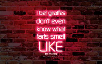Jag bet giraffer vet inte ens vad pruttar luktar, 4k, lila v&#228;gg, Bill Murray, popul&#228;ra citat, neon text, inspiration, citat om livet
