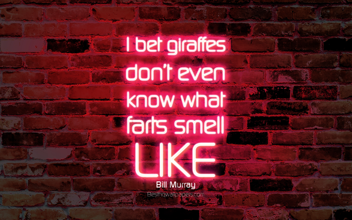 Eu aposto que girafas n&#227;o sei mesmo o que peidos cheiram a, 4k, roxo parede de tijolos, Bill Murray, popular cota&#231;&#245;es, neon texto, inspira&#231;&#227;o, cita&#231;&#245;es sobre a vida