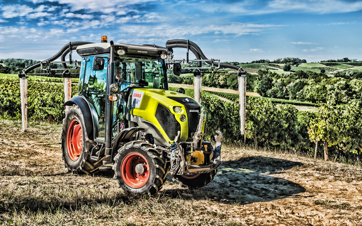Claas Nexos 250 VL, 4k, HDR, 2019 tractores, de la uva de la cosecha, maquinaria agr&#237;cola, tractores en la vi&#241;a, la agricultura, Claas