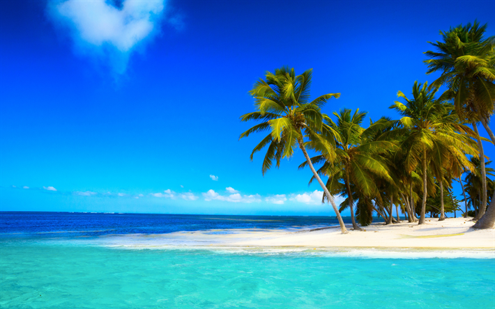 A ilha do para&#237;so, oceano, praia de luxo, palmeiras, ilha tropical, seascape, azul lagoa