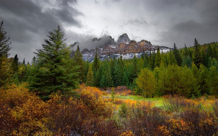 Rochers, for&#234;t, arbres verts, paysage de montagne, brouillard, parc national Banff, Alberta, Canada