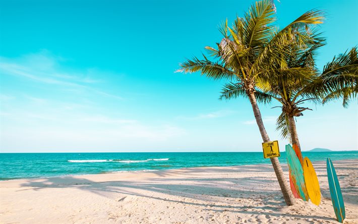 beach, palm trees, summer, seascape, surfing, evening, sunset, waves, tropical islands