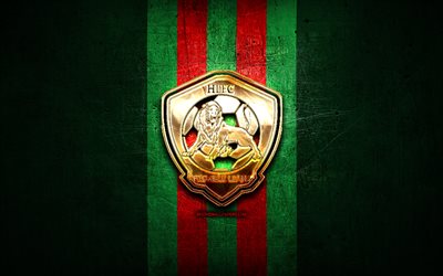 humble lions fc, logotipo dourado, jamaica premier league, metal verde de fundo, futebol, jamaicano futebol clube, humble lions logotipo, humble lions