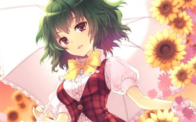 Yuuka Kazami, sunflowers, manga, anime characters, Flower Master of the Four Seasons, Touhou, Kazami Yuuka
