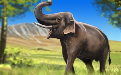 Indian Elephant, artwork, wildlife, Elephas maximus indicus, elephants