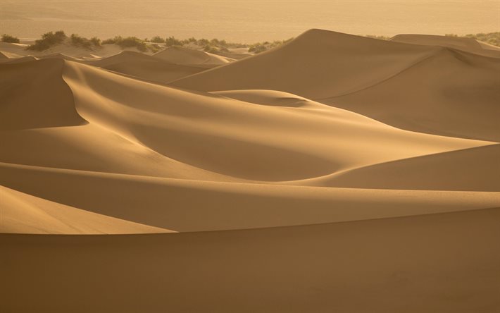 d&#233;sert, sable, dunes, dunes de sable, &#233;t&#233;, les vagues de sable, en Afrique