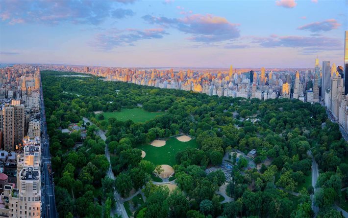 Central Park, a Manhattan, a New York, nell&#39;Upper West Side, Upper East Side, sera, tramonto, paesaggio urbano di New York, orizzonte, New York, USA