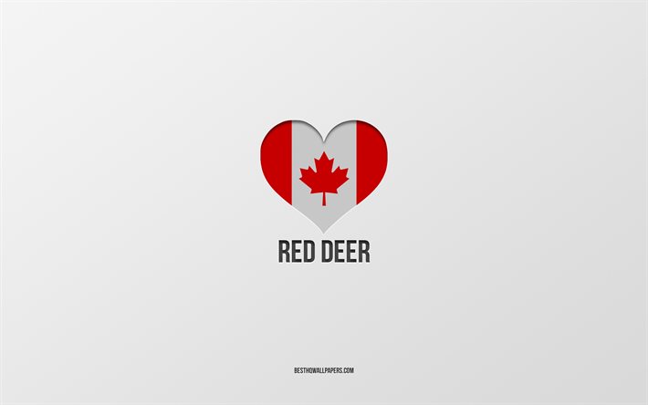 Kızıl Geyiği Seviyorum, Kanada şehirleri, gri arka plan, Kızıl Geyik, Kanada, Kanada bayrağı kalbi, favori şehirler
