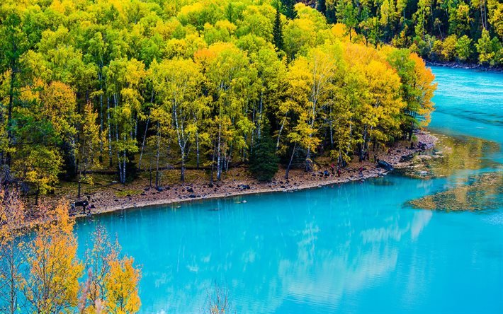 Kanas Lake, sininen vesi, Aasiassa, Xinjiang, Kiina