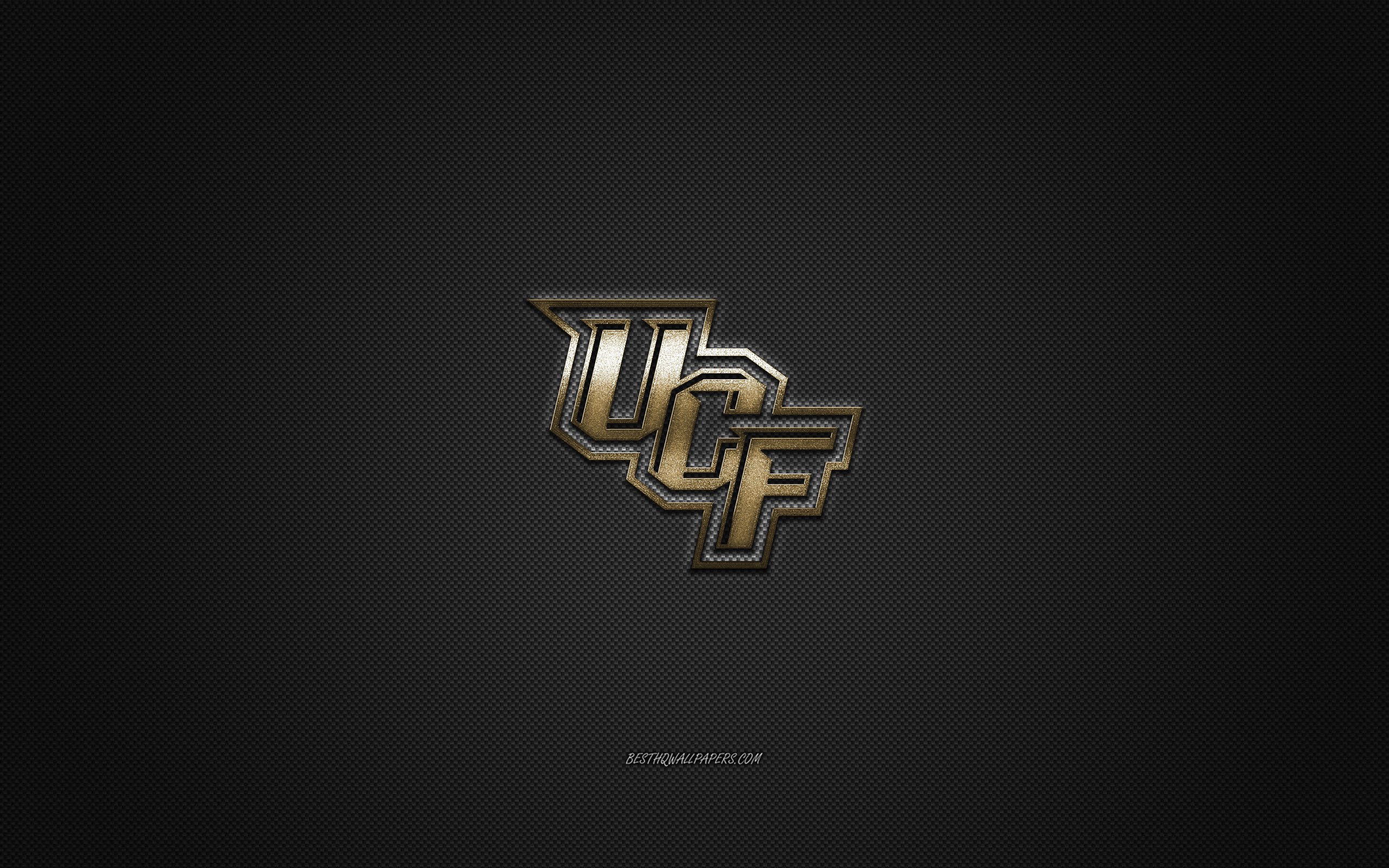 Download wallpapers UCF Knights gray background American football team  UCF Knights emblem NCAA Florida USA American football UCF Knights logo  for desktop with resolution 2560x1600 High Quality HD pictures wallpapers