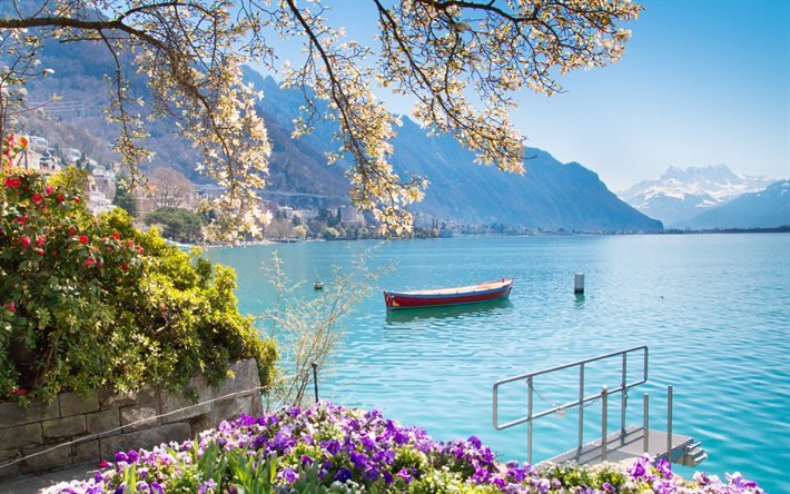 El lago de Ginebra, Montreux, suiza, Alpes, la ma&#241;ana, lago hermoso, las flores, el paisaje de monta&#241;a, paisaje de la ciudad de Montreux, Suiza