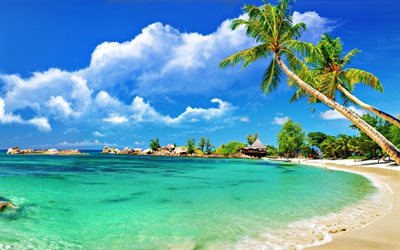 tropiska &#246;n, beach, sommar, palms, resa i sommar, azurbl&#229; lagunen, bl&#229; himmel
