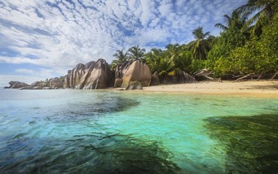 Les Maldives, les &#238;les tropicales, la plage, les rochers, les palmiers, l&#39;oc&#233;an, les voyages d&#39;&#233;t&#233;