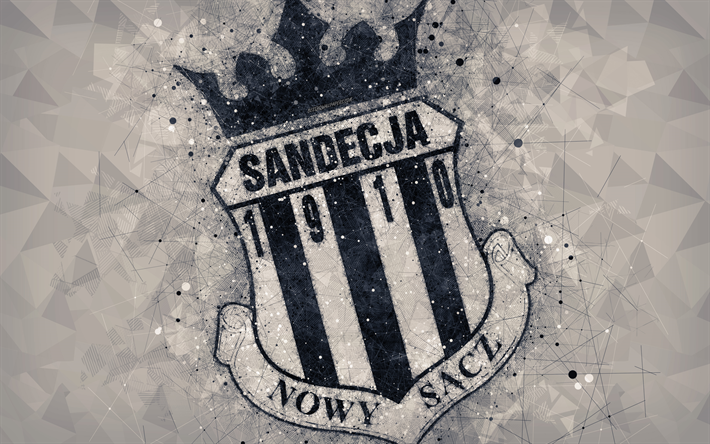 Sandecja Nowy Sacz, 4k, geometric art, logo, Gray abstract background, Polish football club, Nowy Sacz, Poland, football, creative art