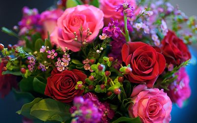 bouquet de roses rouges, une macro, un bouquet de roses, bokeh, des fleurs rouges, des roses, des bourgeons, des roses rouges, de belles fleurs