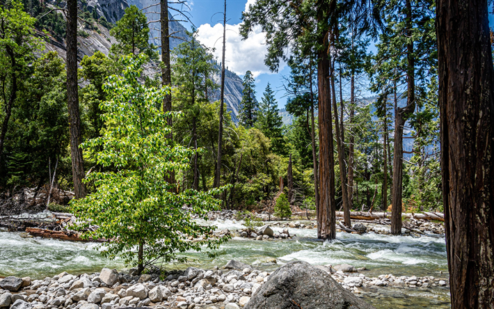 mountain landscape, summer, mountain river, rocks, California, Yosemite National Park, USA