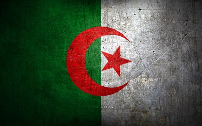 Algerian metallilippu, grunge-taide, Afrikan maat, kansalliset symbolit, Algerian lippu, metalliliput, Afrikka, Algeria