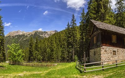 Italia, Alpes, verano, monta&#241;a, caba&#241;a del bosque