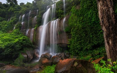 waterfall, high rock, forest, beautiful mountain waterfall, water, jungle