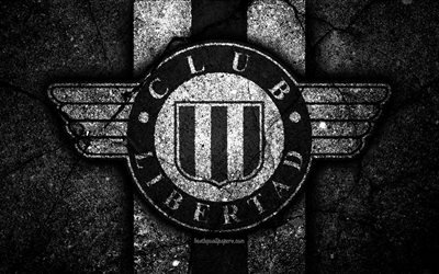 4k, le FC Libertad Asuncion, le logo, les Paraguayens Primera Division, pierre noire, football, club de football, le Paraguay, la Libertad Asuncion, l&#39;art, l&#39;asphalte, la texture, la Libertad Asuncion FC