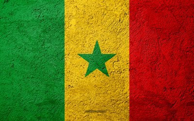 Lipun Senegalin, betoni rakenne, kivi tausta, Senegalin lippu, Afrikka, Senegal, liput kivi