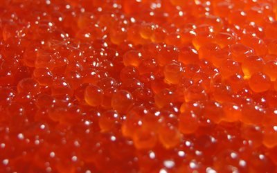 caviar rojo de textura, fondo con caviar rojo, textura de los alimentos, el caviar