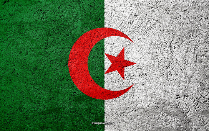 Taş Cezayir bayrak, beton doku, taş, arka plan, Cezayir bayrak, Afrika, Cezayir, bayraklar