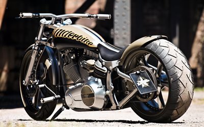 A Harley-Davidson Thunderbike, 2019, Motos Custom, tuning, legal motocicletas, americana de motocicletas, A Harley-Davidson