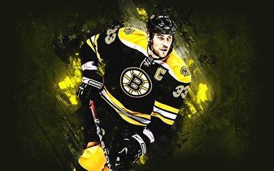 Zdeno Hara, Boston Bruins, NHL, Slovak oyuncusu, defans, Ulusal Hokey Ligi, ABD, hokey