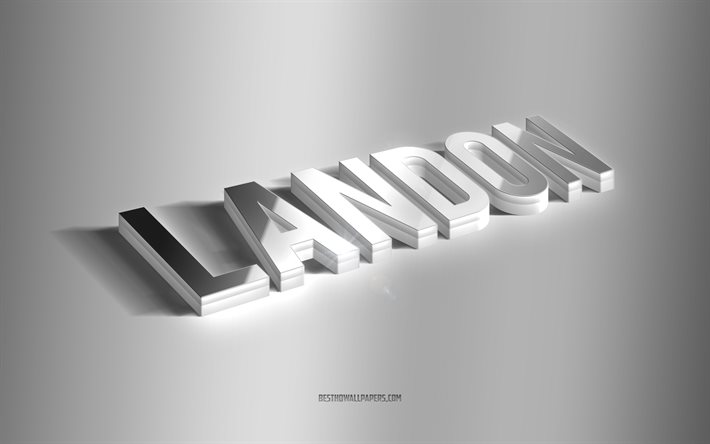Landon, silver 3d -konst, gr&#229; bakgrund, tapeter med namn, Landon -namn, Landon -gratulationskort, 3d -konst, bild med Landon -namn