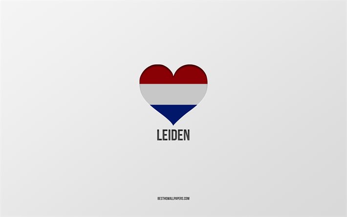 I Love Leiden, Dutch cities, Day of Leiden, gray background, Leiden, Netherlands, Dutch flag heart, favorite cities, Love Leiden
