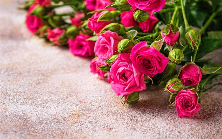 lila rosor bukett, 4k, bokeh, lila blommor, rosor, knoppar, rosor ramar, vackra blommor, bakgrunder med rosor, lila rosor