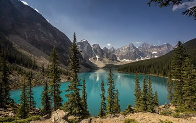 Moraine lake, mountain lake, summer, forest, mountains, Alberta, Canada