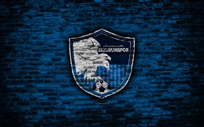 4k, Erzurum FC, logo, Turkey, brick wall, Super Lig, soccer, football club, Erzurum, brick texture, football, FC Erzurum