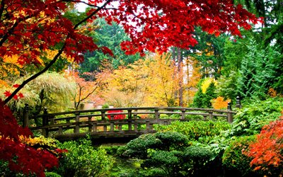 autumn landscape, park, Japan, yellow leaves, autumn, red leaves, wooden bridge