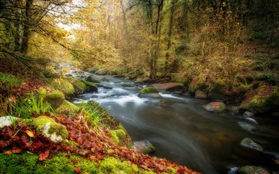 山川, 秋の景観, 黄色の紅葉, 森林, 川, 美しい秋の風景